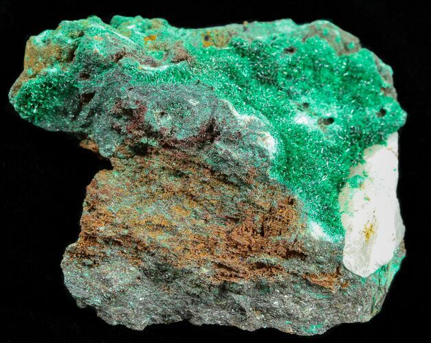 Malachite with Quartz - Morocco #57050